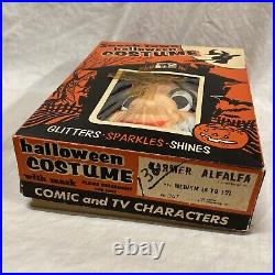 1940s-50s FARMER ALFALFA TERRYTOONS Cartoon Halloween Costume In Box SPOOK TOWN