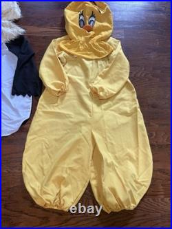 1980's Homemade Costume Sylvester The Cat And Tweety Bird Looney Tunes Adult