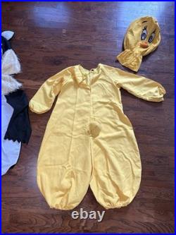 1980's Homemade Costume Sylvester The Cat And Tweety Bird Looney Tunes Adult