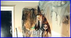 Animated Lunging Halloween Witch Prop