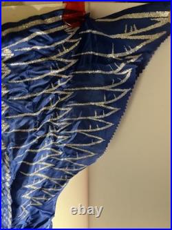 Ben Cooper Magic Glo Thunderbird The Eagle Costums (Small) Vintage Rare