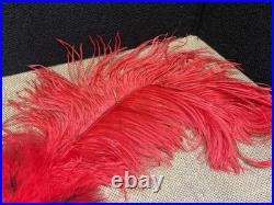 Early Gypsy Renaissance Mardi Gras Mask, over 3 ft. Red, black, gold, feathers Early Gypsy Renaissance Mardi Gras Mask, over 3 ft. Red, black, gold, feathers