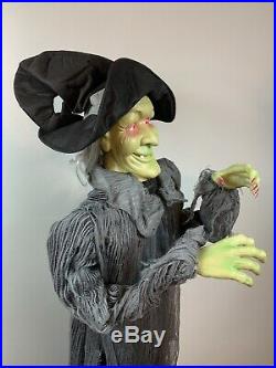 Floating Witch 5 Feet Tall Gemmy Halloween Animated Prop Spirit