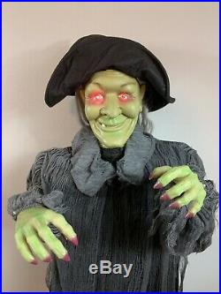 Floating Witch 5 Feet Tall Gemmy Halloween Animated Prop Spirit