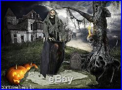 Graveyard Reaper Animated Halloween Yard Prop