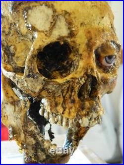 HALLOWEEN HORROR MOVIE PROP Realistic Resin Human Corpse Head Half Skull