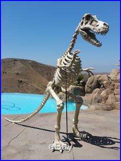 Halloween @ 9' Tall Skeleton T-rex Dinosaur Led Illuminated Eyes & Sound Effects