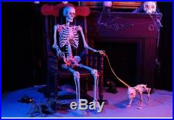 Halloween Skeleton Fully Assembled 5 Ft Life Size Prop Decoration LED Lit Eyes
