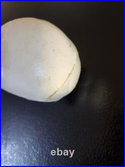 Halloween White Ghost Skull Plastic Club Bat Clinton Toy Corp Vintage 1960's