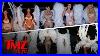 Kardashians_Bust_Out_Lingerie_For_Insanly_Hot_Halloween_Costumes_Tmz_Tv_01_wqr