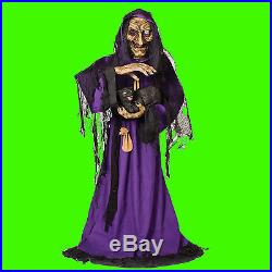 Life Size Animated-SCARY WITCH-BLACK CAT-Haunted House Halloween Prop Decoration