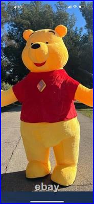 Mascot Costumes/Party Character Inflatable Costumes