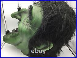 Mascot witch goblin costume head