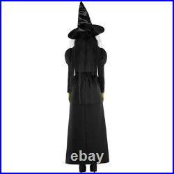 Morph Witch Costume for Women Adult Halloween Outfit Spooky Medium