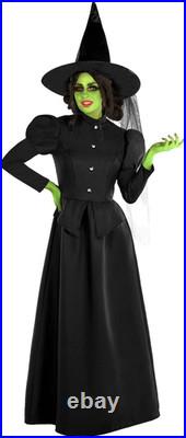 Morph Witch Costume for Women Adult Halloween Outfit Spooky Medium
