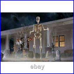 New Home Accents 12 Ft. Giant Sized Skeleton with LifeEyes Home Depot