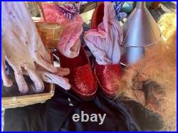 Pre-Loved Dorothy Axed By The Tin Man Costume