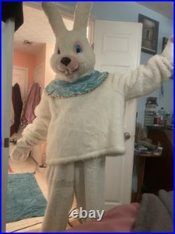 Schen's Of Cincinnati Easter Bunny costume Professionally Designed