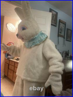 Schen's Of Cincinnati Easter Bunny costume Professionally Designed