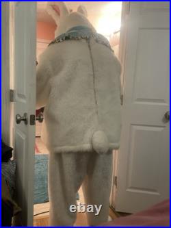 Schen's Of Cincinnati Easter Bunny costume Professionally Designed