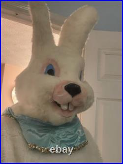 Schen's Of Cincinnati Easter Bunny costume Professionally Designed