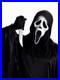 Scream_Ghost_Face_30Th_Anniversary_Halloween_Costume_Set_Gen_2_01_ig