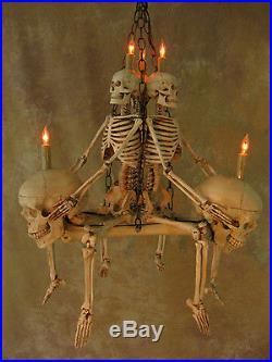 Skeleton Chandelier, Halloween Prop, Human Skeletons