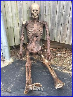 Skeleton Corpse Zombie Life Size Halloween Prop Decoration Realistic Pro Series