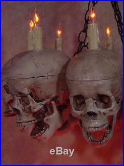 Skull Chandelier, Halloween Prop, Human Skeletons