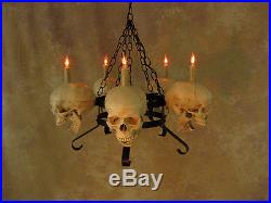 Skull Chandelier, Halloween Prop, Human Skulls/Skeleton