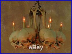 Skull Hip Bone Chandelier, Halloween Prop, Human Skeletons, NEW