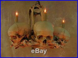 Skull Hip Bone Chandelier, Halloween Prop, Human Skeletons, NEW