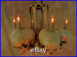 Skull Hip Bone Chandelier, Halloween Prop, Human Skeletons, NEW