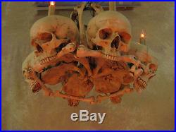 Skull Hip Bone Chandelier, Halloween Prop, Human Skeletons, NEW