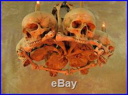 Skull Hip Bone Chandelier, Halloween Prop, Human Skeletons, NEW