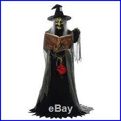 Spell Speaking Witch Animated Prop, Halloween Decoration, Creepy Old Hag
