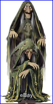 Swamp Hag Rising Animated Halloween Witch Haunted House Decorations & Props