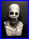 The_Apparition_Full_Silicone_Scary_Stories_Ghost_Mask_with_Hair_01_jhq