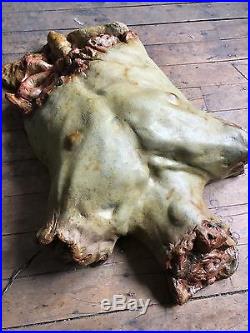 Torso Chest Halloween Prop Gory Bloody Horror Haunted Dead Men Tell No Tales