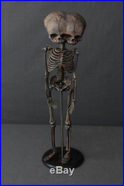 Triclops Fetal Skeleton Articulated Infant Halloween Haunted House Prop