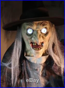 VIDEO! LifeSize ANIMATED Lunging Haggard Witch Halloween PROP HAUNTED Spirit
