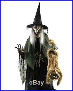 VIDEO! LifeSize ANIMATED WITCH Cauldron Cat HALLOWEEN PROP OUTDOOR HOCUS SPIRIT