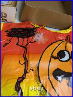 VINTAGE PEANUTS Woodstock COLLECTIBLE HALLOWEEN COSTUME 1975 IN ORIGINAL BOX VINTAGE PEANUTS Woodstock COLLECTIBLE HALLOWEEN COSTUME 1975 IN ORIGINAL BOX