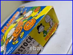 VINTAGE PEANUTS Woodstock COLLECTIBLE HALLOWEEN COSTUME 1975 IN ORIGINAL BOX VINTAGE PEANUTS Woodstock COLLECTIBLE HALLOWEEN COSTUME 1975 IN ORIGINAL BOX