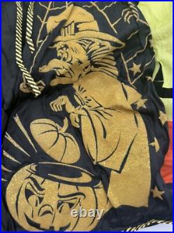 Vintage 1950s Collegeville Costumes witch Halloween costume Withbox large 284