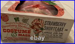 Vintage 1980 Ben Cooper Strawberry Shortcake Costume Mask UNUSED Boxed L 12-14