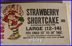 Vintage 1980 Ben Cooper Strawberry Shortcake Costume Mask UNUSED Boxed L 12-14