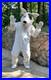 Vintage_Bull_Terrier_Dog_Adult_Mascot_Halloween_Full_Suit_Costume_cosplay_rare_01_qm