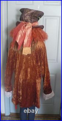 Vintage Disney Mad Hatter Costume