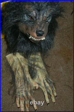 Werewolf Mask with Werewolf Hands Bad Moon Werewolf The Horror Dome HDM323/DWH25
